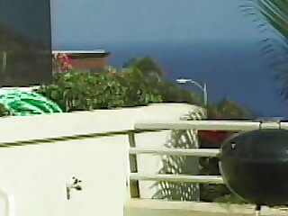 Island Fever 02 Instalment 2