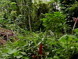 Cay Fever Scene 3