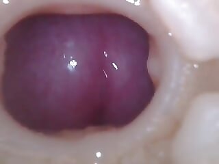 Amazing close-up beyond the..