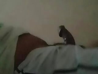 Spanking lasting my bed